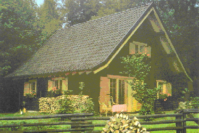 Modell Hammer Spring